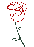 玫瑰