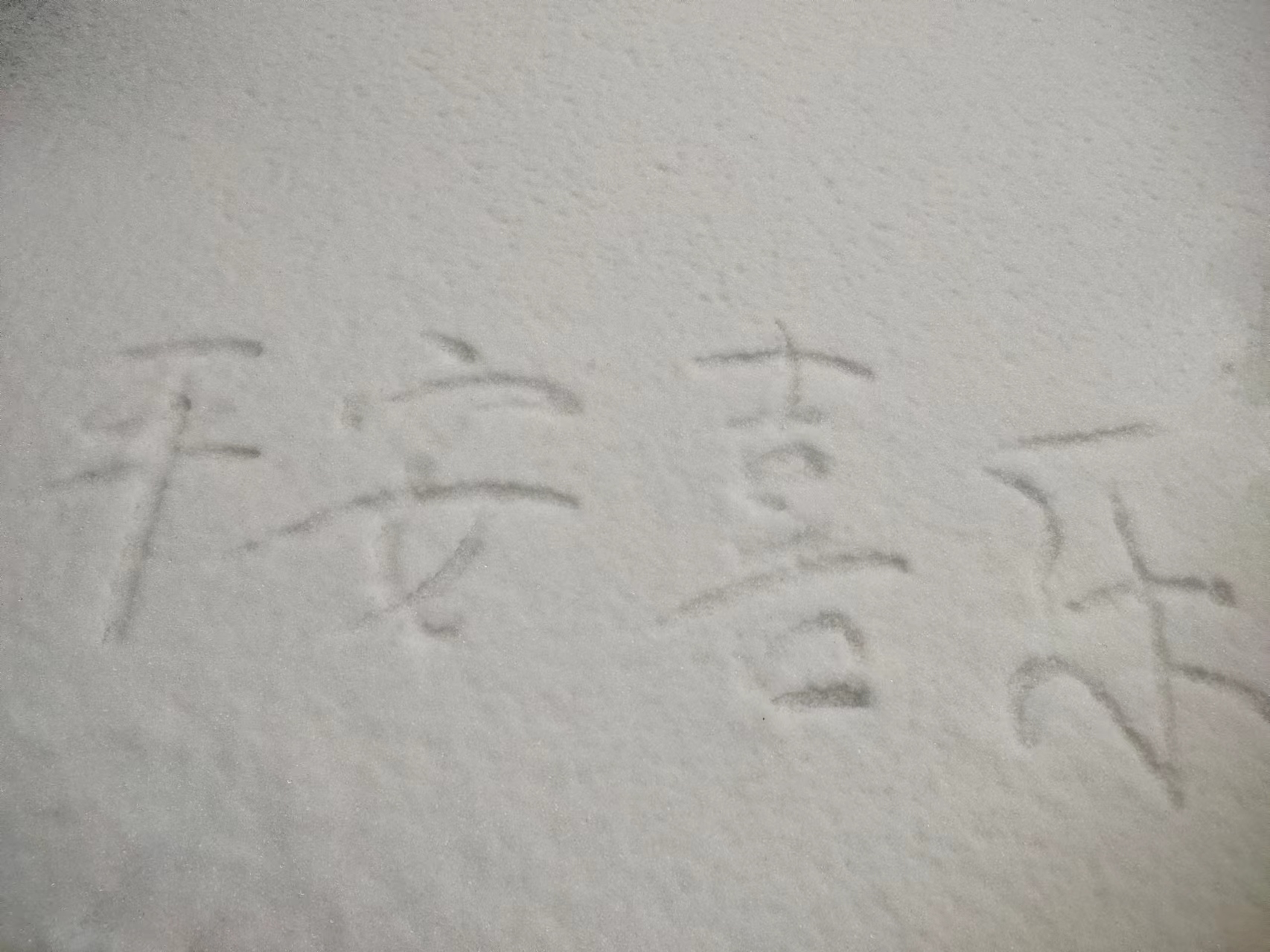 2024雪
