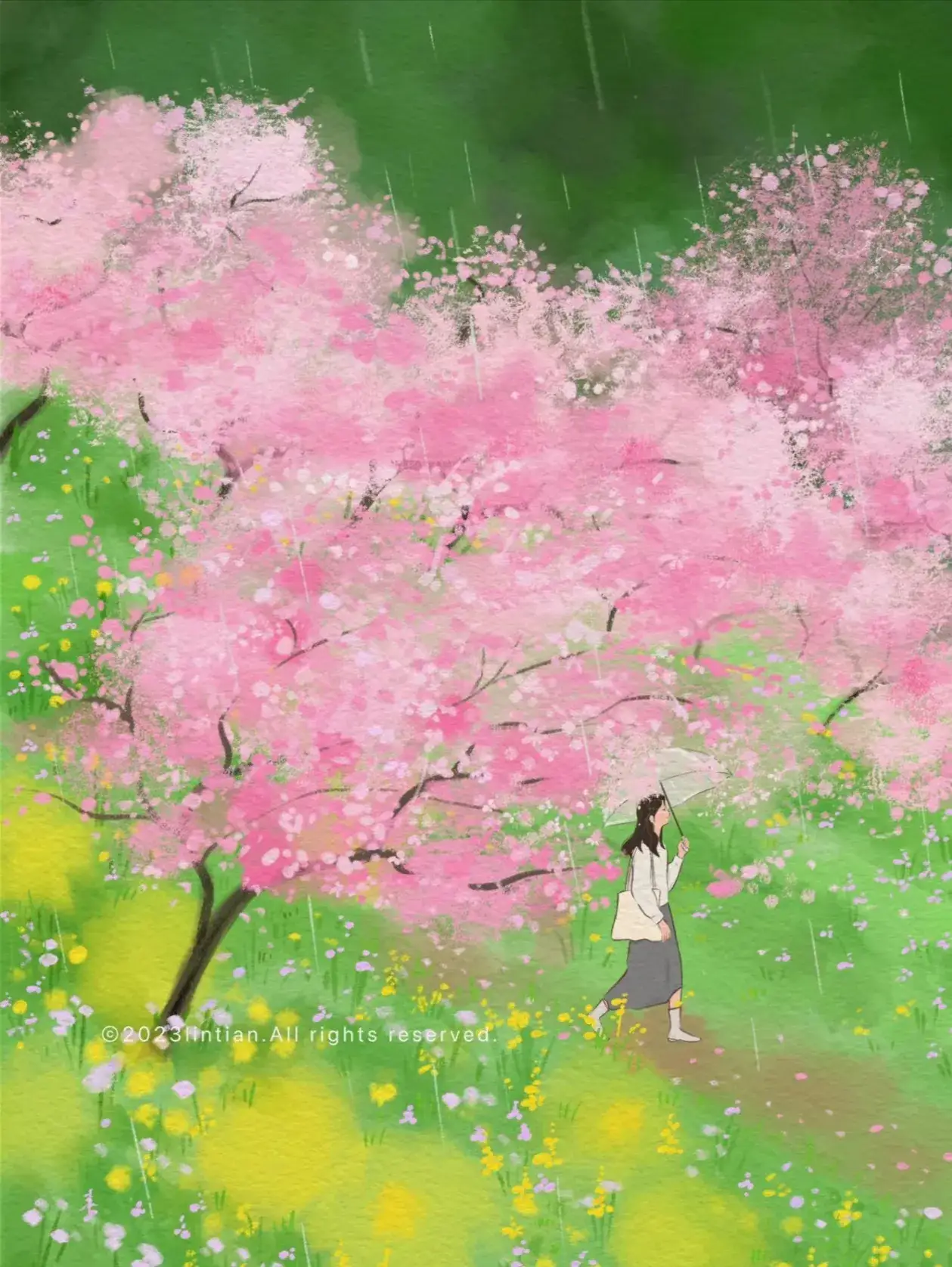 桃花伞