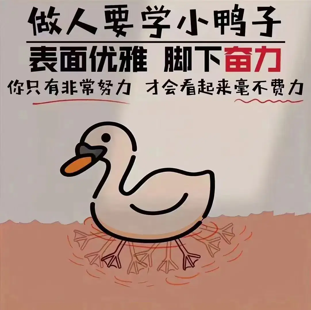 鸭子