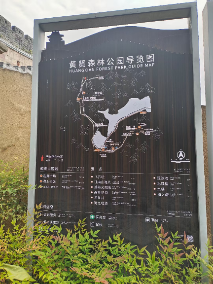 黄贤森林公园4