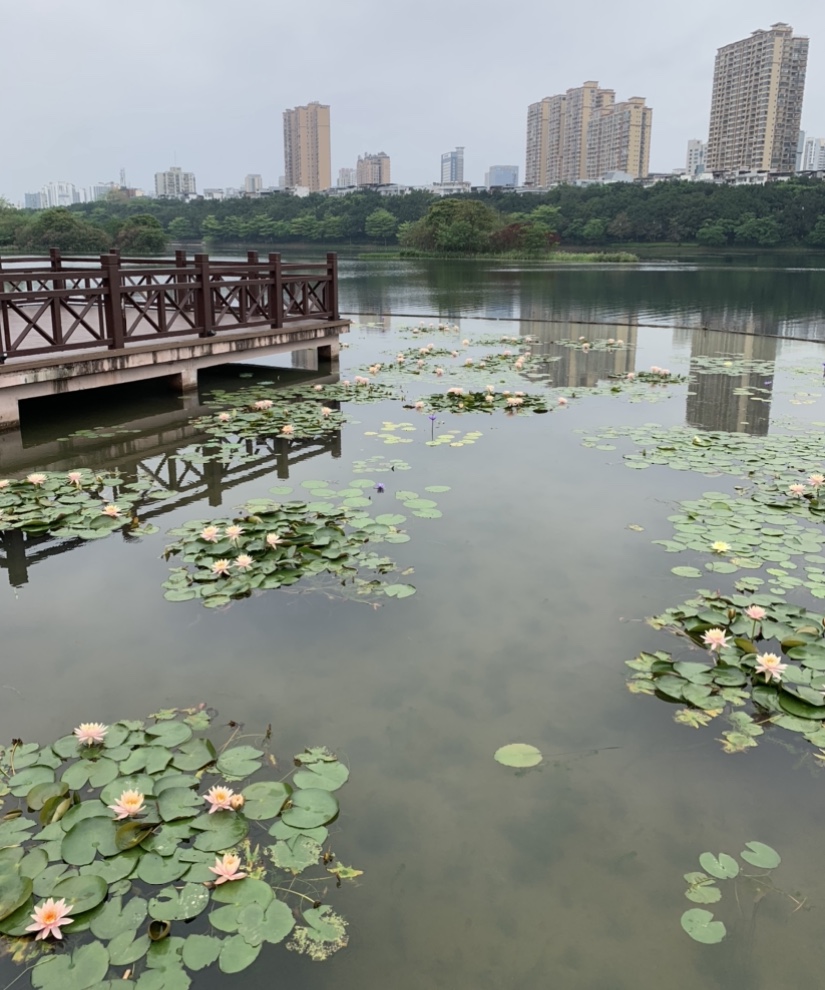 南湖