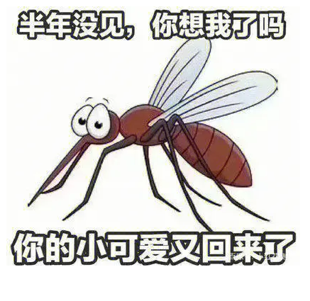 蚊子