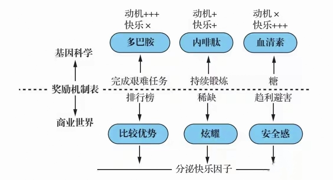 多巴胺