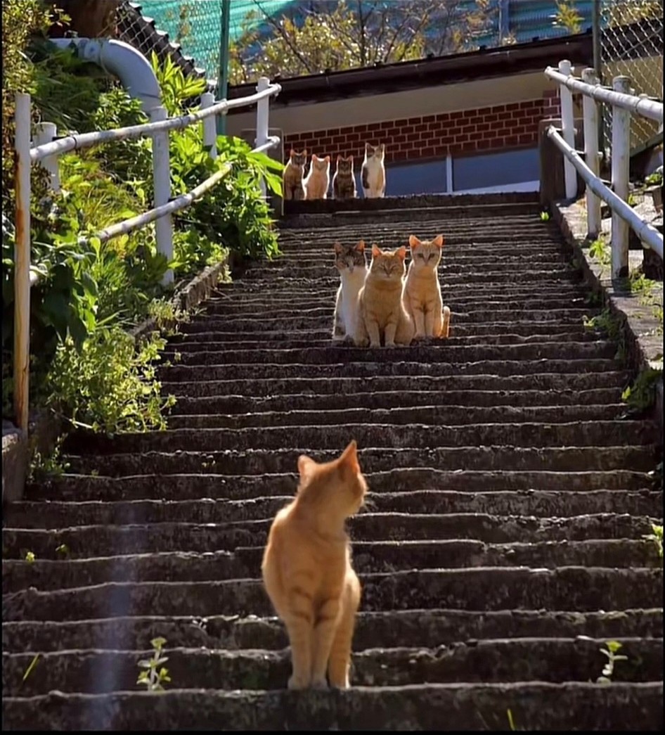 离