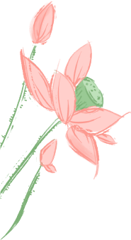 夏至
