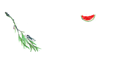 夏天