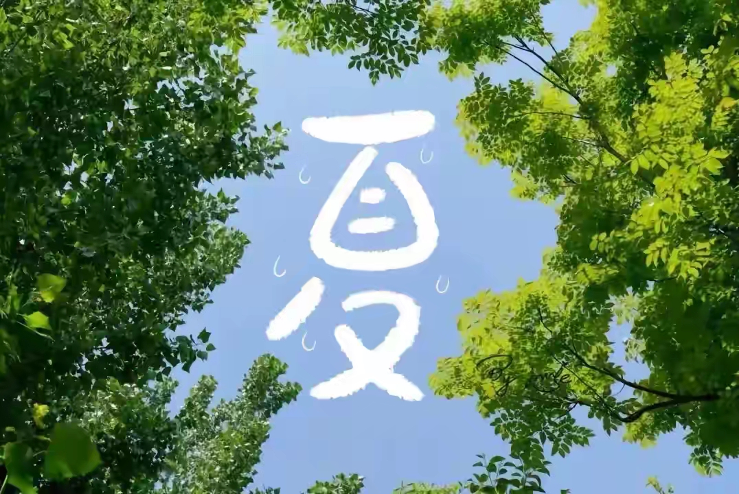 夏