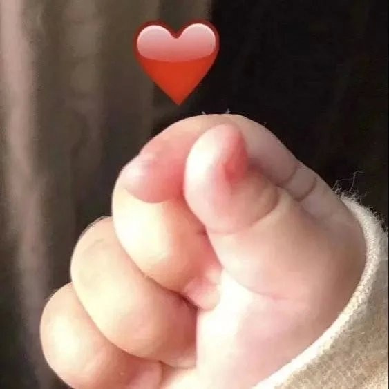 笔芯