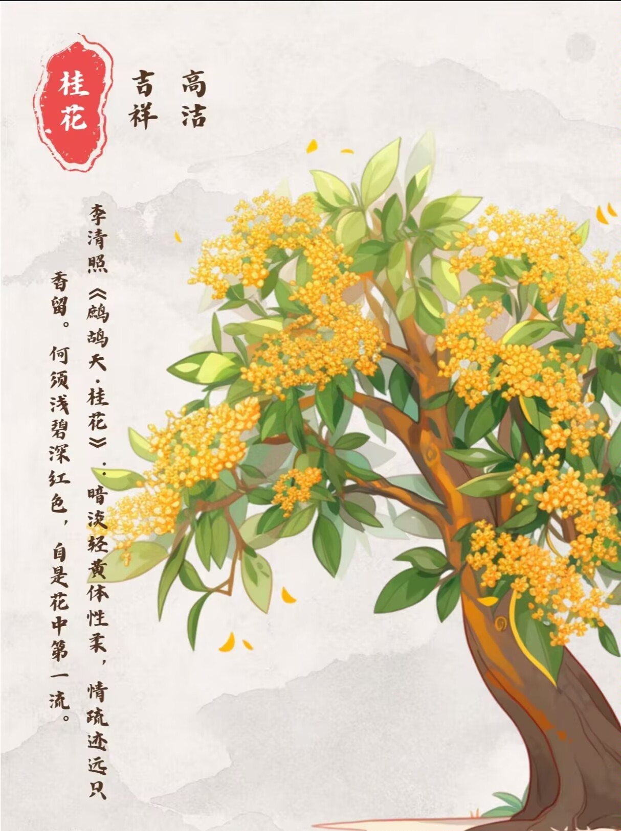 桂花