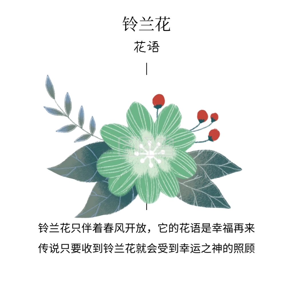 教师节