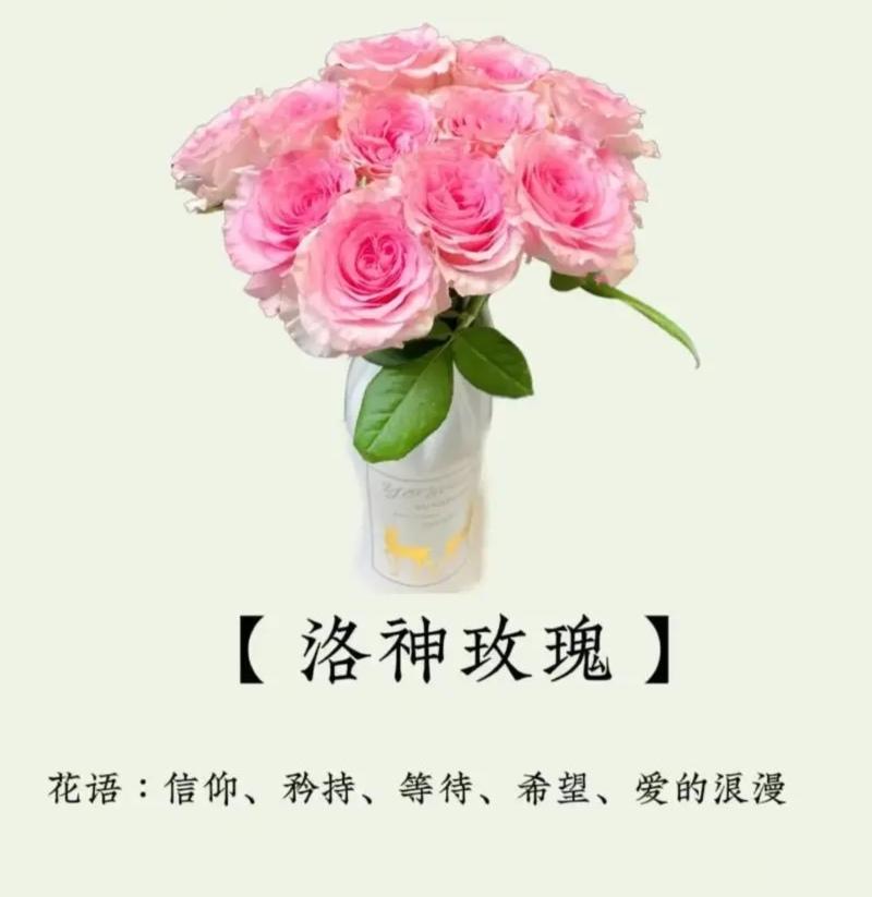 教师