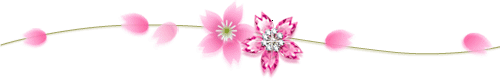 花花粉