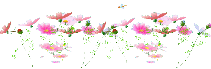 花分割