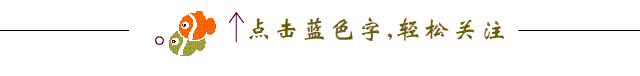 分隔线
