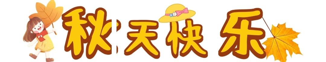 顶