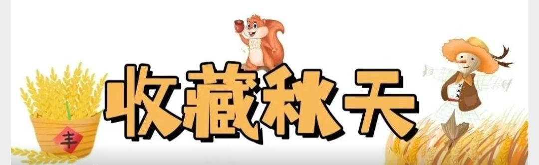 顶