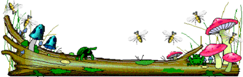 风景