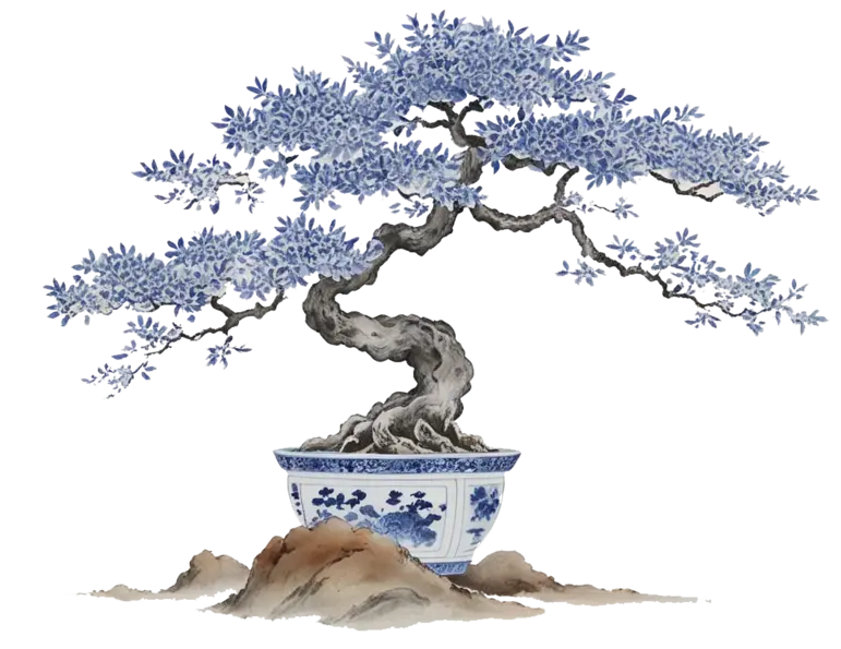 风景