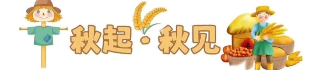 顶