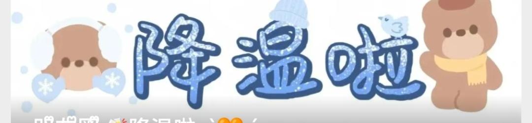 顶