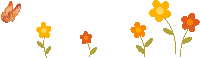 蝴蝶花小