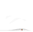 偷看
