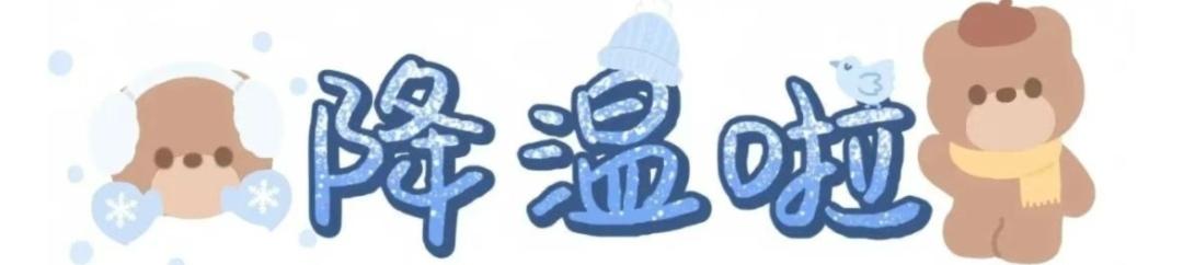 顶