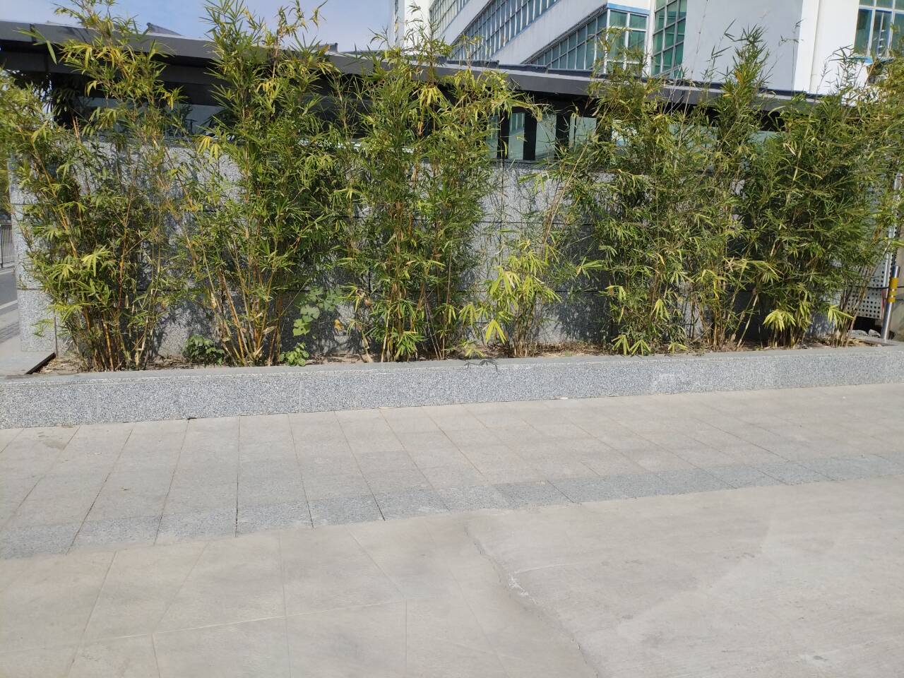 秋天