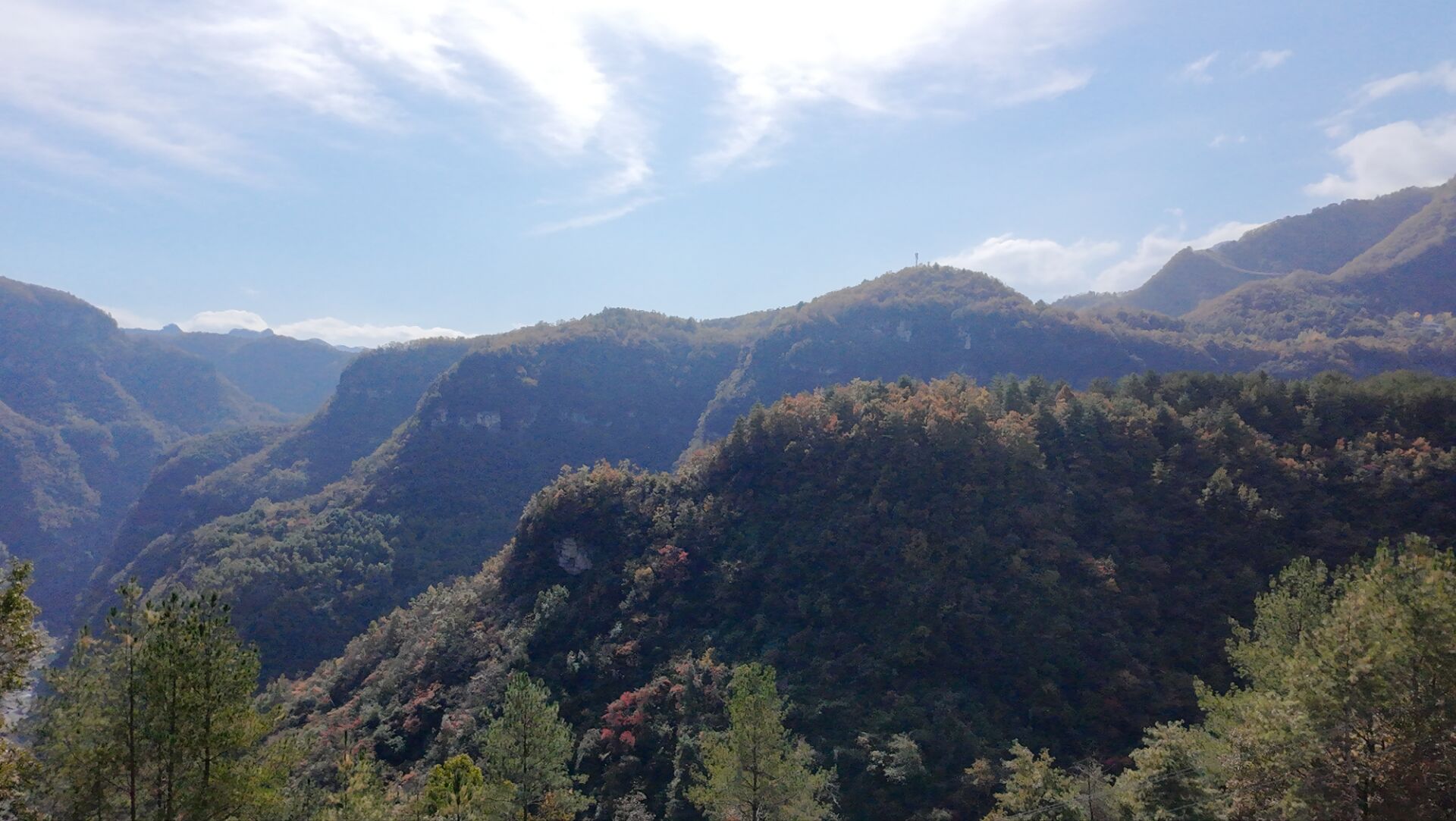。