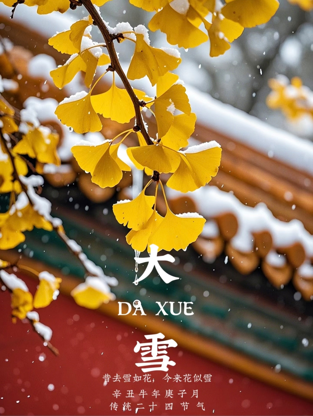 大雪