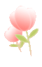 粉嘟花