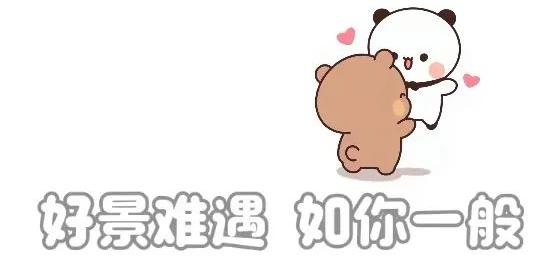 顶