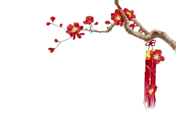顶