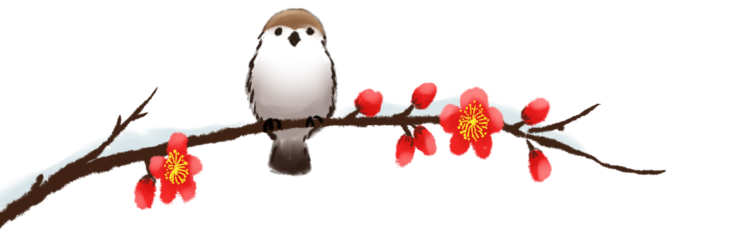 顶