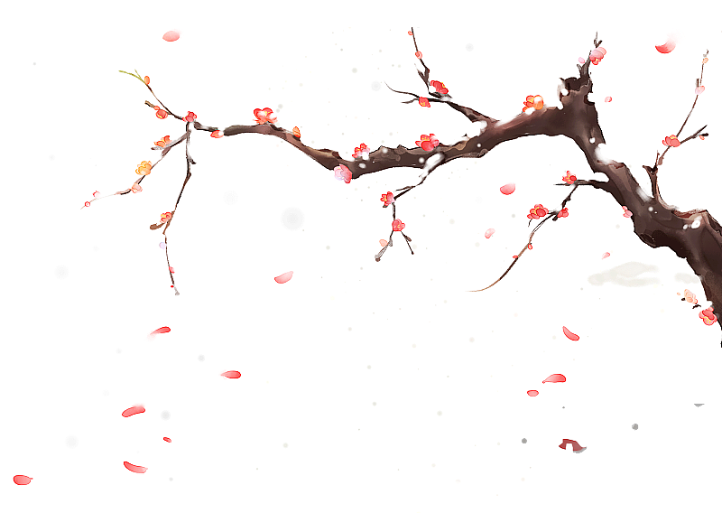 顶