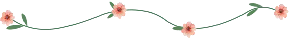 分割