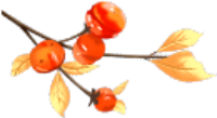 顶