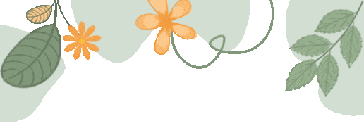顶