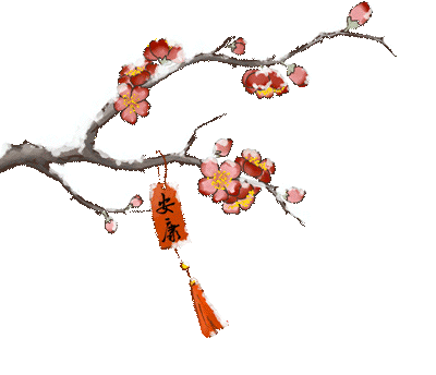 腊梅1