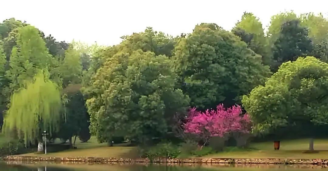 风景