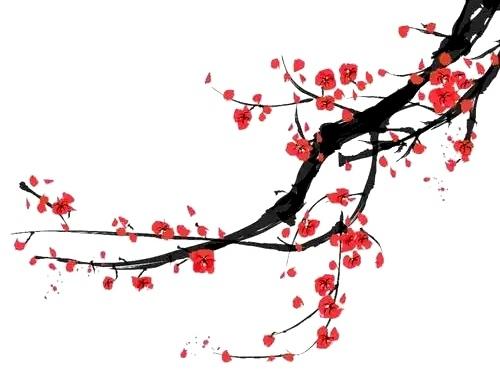 顶