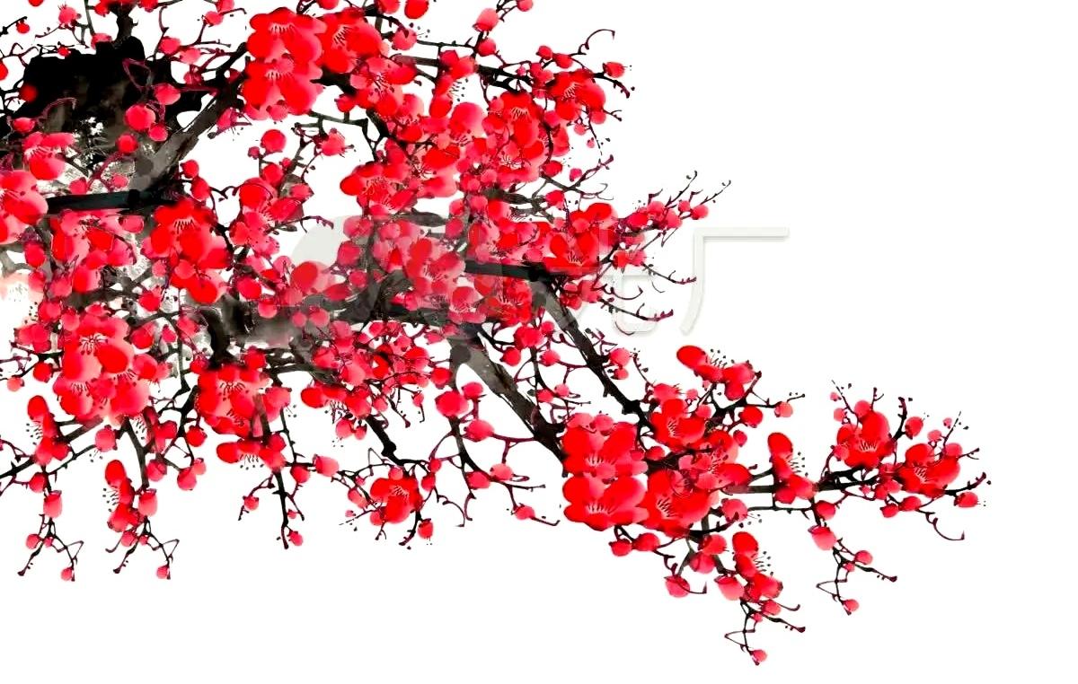 顶