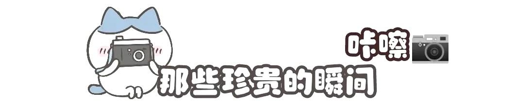 顶