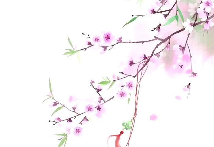 顶