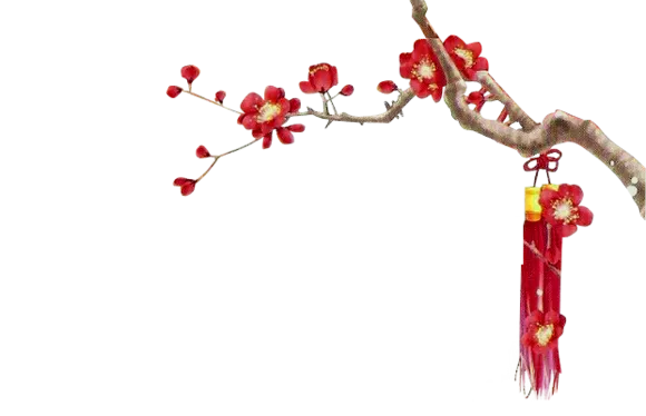 顶