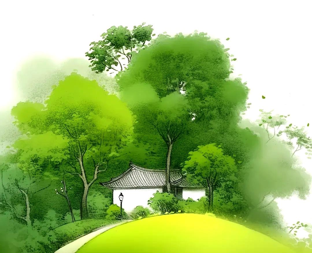 风景
