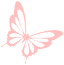 蝴蝶