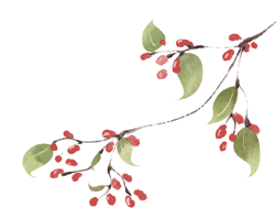 顶