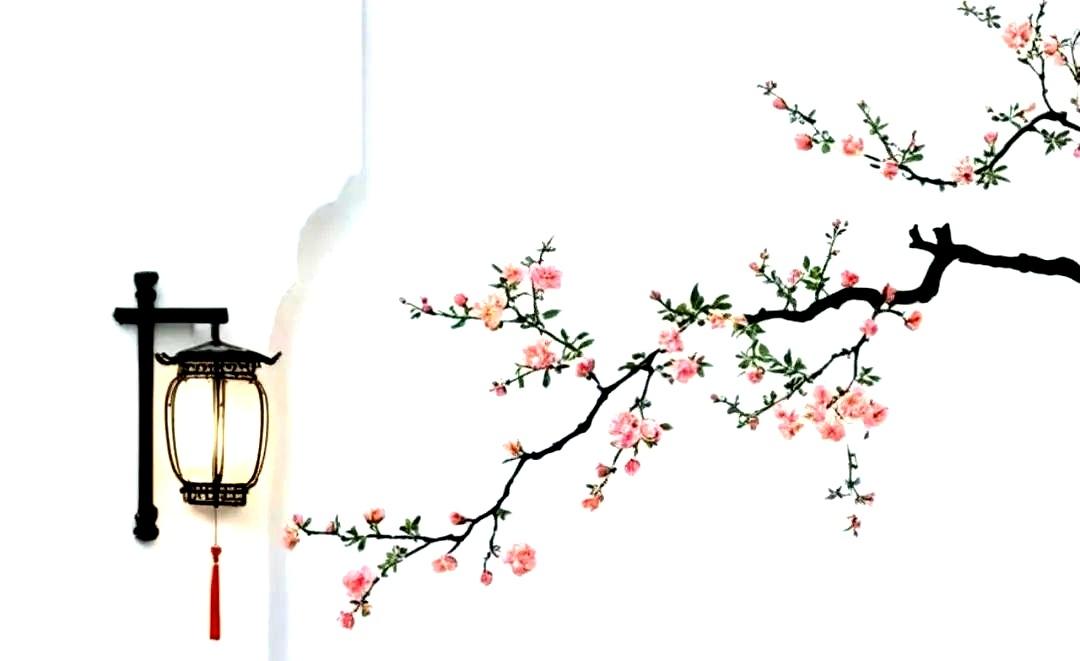 顶
